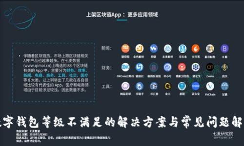 数字钱包等级不满足的解决方案与常见问题解析