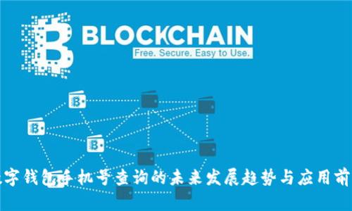 数字钱包手机号查询的未来发展趋势与应用前景