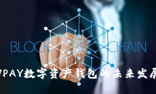 投资VPAY数字资产钱包的未来发展趋势