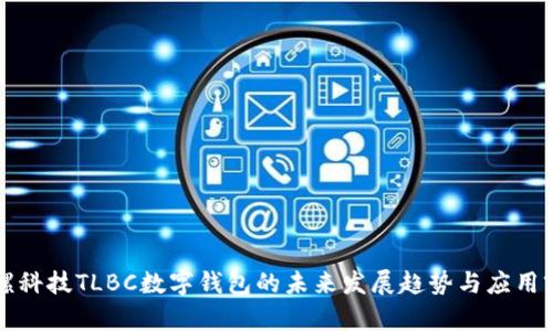 陀螺科技TLBC数字钱包的未来发展趋势与应用前景