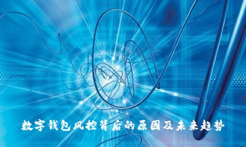 数字钱包风控背后的原因及未来趋势