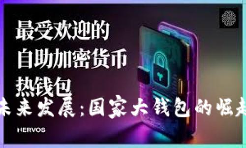 数字货币的未来发展:国家大钱包的崛起与趋势分析