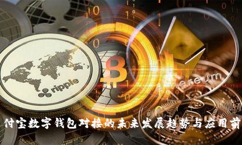 支付宝数字钱包对接的未来发展趋势与应用前景